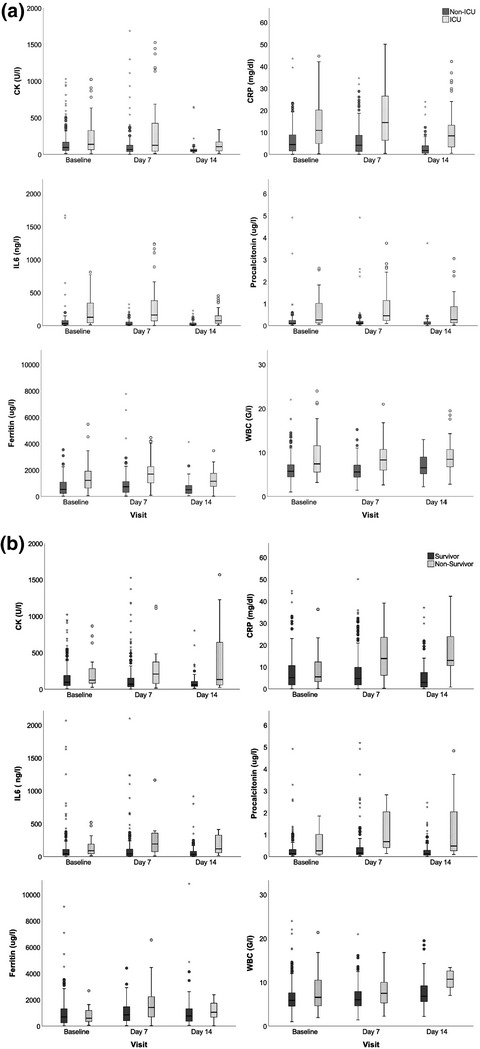 Muscle involvement in SARS-CoV-2 infection Issue 10, 2021