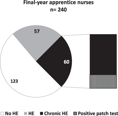 Characteristics of hand eczema in final-year apprentice nurses during the COVID-19 pandemic Issue 2, 2022