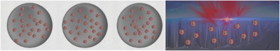 SARS-CoV-2 and omicron variant detection with a high selectivity, sensitivity, and low-cost silicon bio-nanosensor Issue 2, 2023