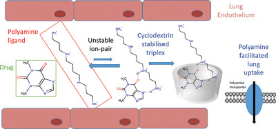 A Cyclodextrin-Stabilized Spermine-Tagged Drug Triplex that Targets Theophylline to the Lungs Selectively in Respiratory Emergency Issue 12, 2020