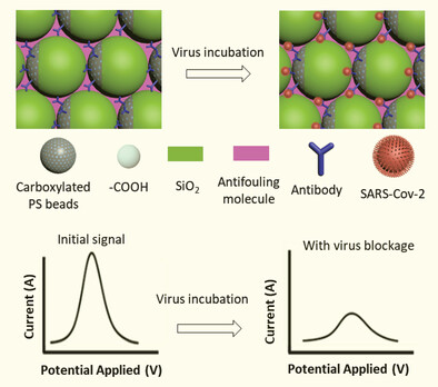 SARS-CoV-2 Virus Detection Via a Polymeric Nanochannel-Based Electrochemical Biosensor Issue 51, 2023