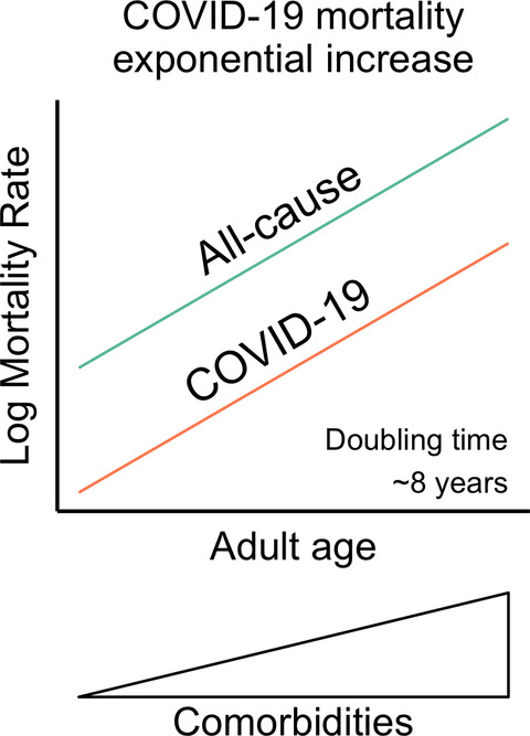 COVID-19 is an emergent disease of aging Issue 10, 2020
