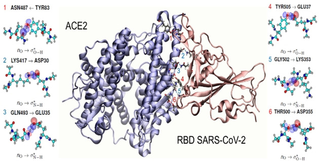 Binding of SARS-CoV-2 to Cell Receptors: A Tale of Molecular Evolution Issue 4, 2021